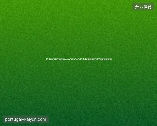 2026年SEO软件无用？Win10装CAD2014失败？外贸网站SEO与广州推广白费劲！